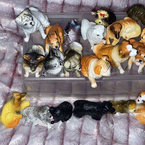 Lot of 25 dog Rays novelty